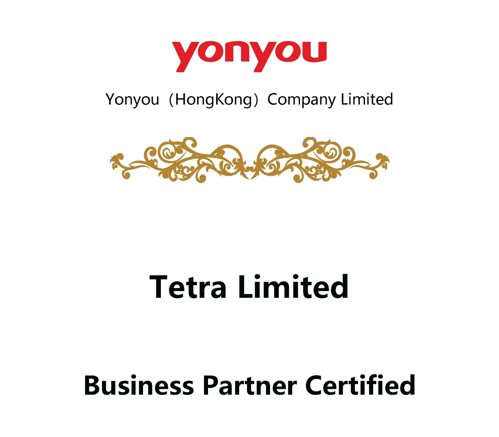 Yonyou Tetra Business Partner Certified